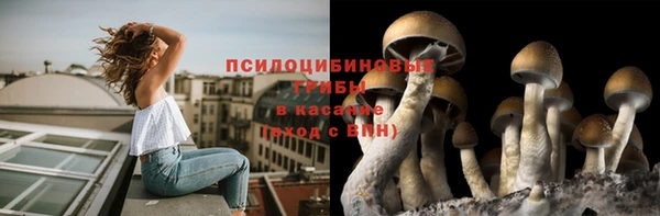 альфа пвп Армянск