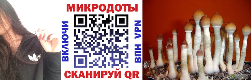 Галлюциногенные грибы MAGIC MUSHROOMS Ясный